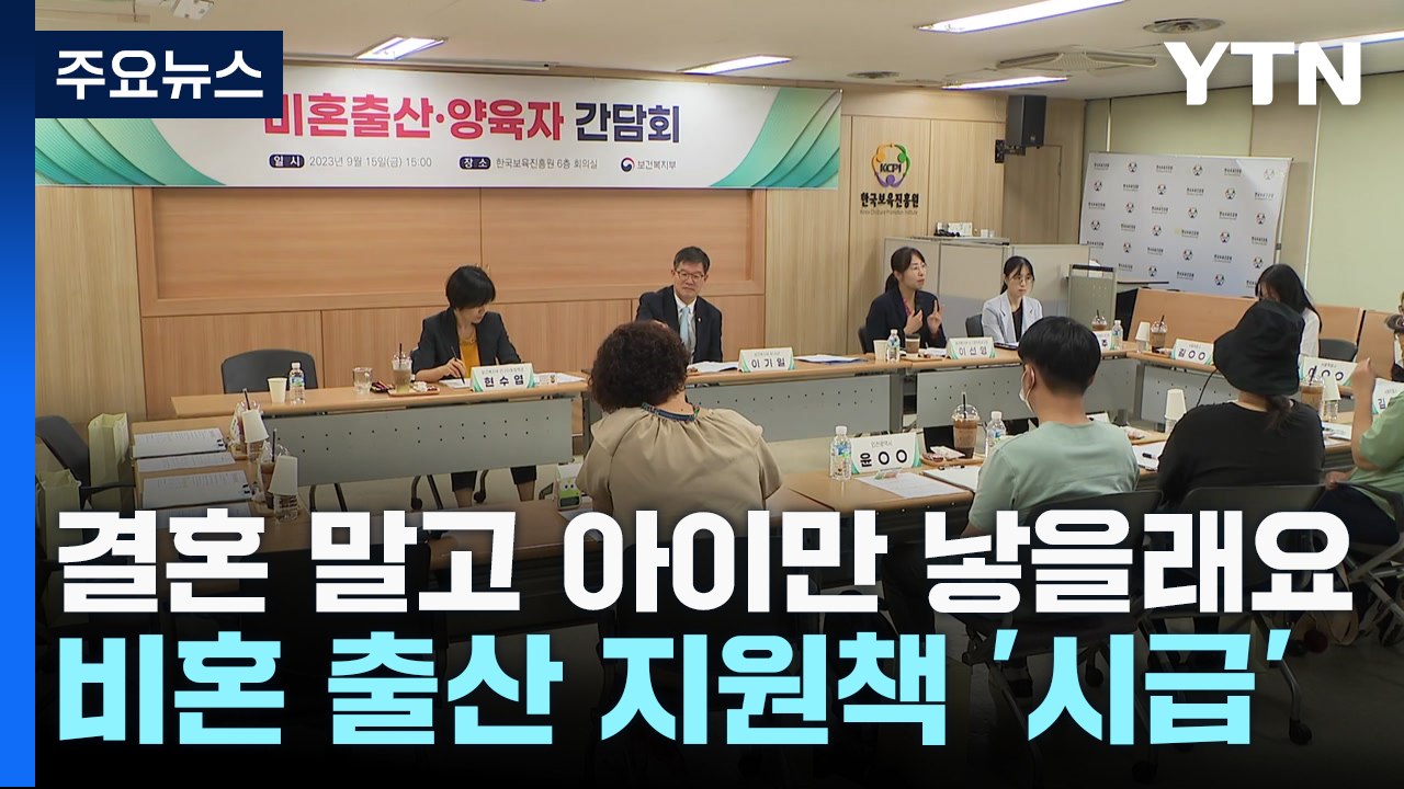 "결혼 말고 아이만 낳을래요"...비혼 출산 지원책 시급 / YTN