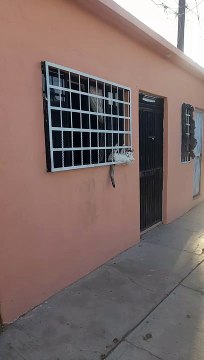 Chill Cat Relaxes in Awkward Position