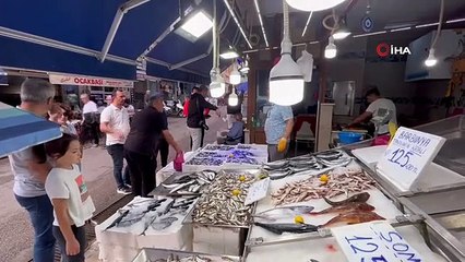 Sinop'ta Balık Tezgahları Hafta Sonu Bereketlendi