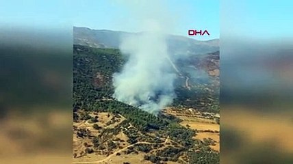 İzmir'de orman yangını çıktı