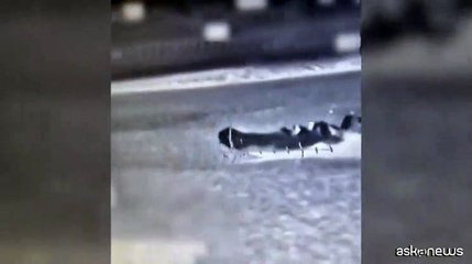 Le barche di Hamas affondate, il video dell'esercito israeliano