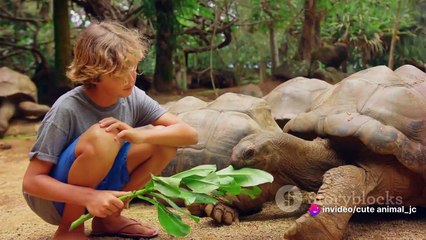 Baby Animal Best Friends_ Unlikely Duos and Adorable Bonds