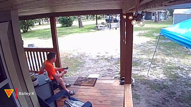 Snake Jump Scare Caught on Ring Camera | Doorbell Camera Video