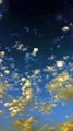 Astounding Clouds Views | Beautiful Sky View | Natural View