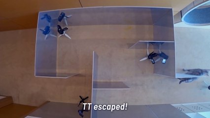 Mirror Maze Challenge! Escape from the Illusion! | Kittisaurus