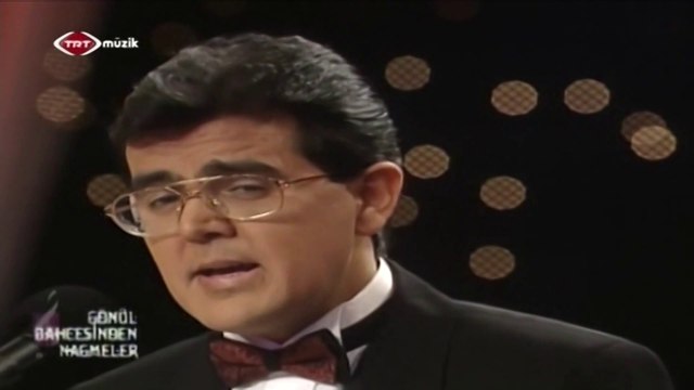 Aytaç Ergen / Bir bahar akşamı rastladım size