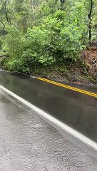 Vídeo mostra deslizamento de terra na BR-470, em Pouso Redondo