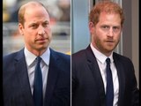 Il principe William “davvero frustrato e legato” per la mossa “impossibile” del principe Harry