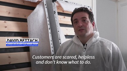 The bedbugs taking over France