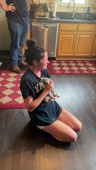 Husband Surprises His Wife With a Kitten