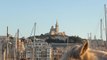 Marseille : 100 chevaux camarguais sur le Vieux-Port !