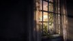 The Last of Us Pc Gameplay - First Look Live