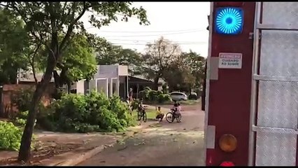 Fortes ventos atingem Cascavel novamente e causam queda de árvore
