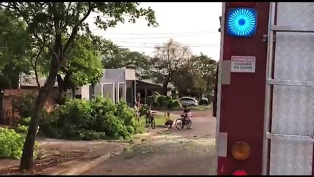 Fortes ventos atingem Cascavel novamente e causam queda de árvore