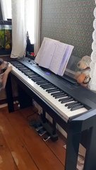 Pup est un prodige du piano