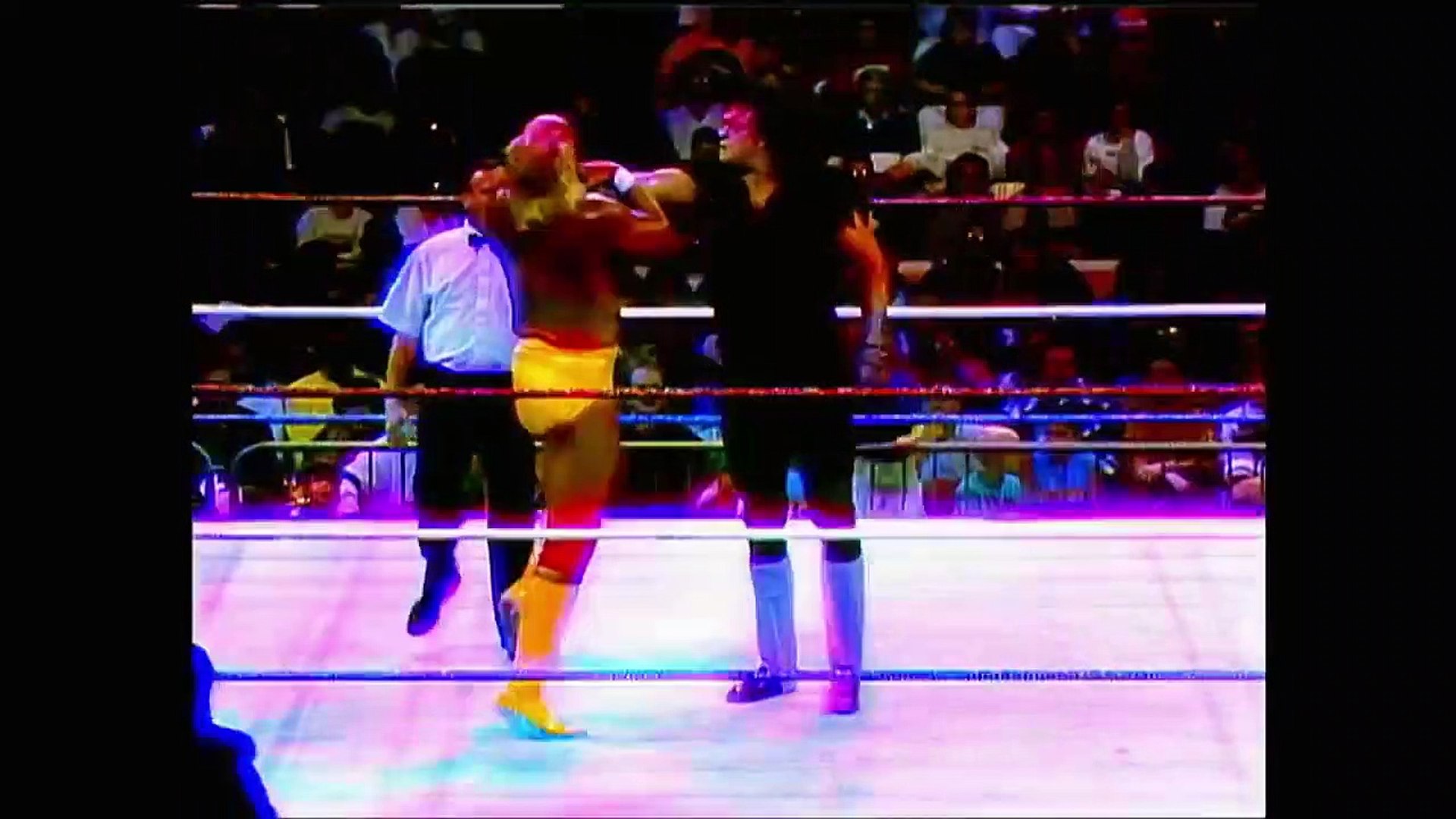 Hulk Hogan Vs Undertaker Survivor Series 1991 Hotsell | website.jkuat.ac.ke