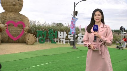[날씨] '한로' 흐리고 선선...서울정원박람회 나들이 인파 / YTN