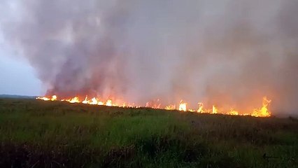 forest and land fires