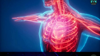 How To Do Intermittent Fasting for SERIOUS WEIGHT LOSS - Syktohealth