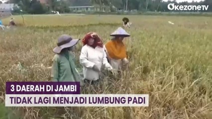 Harga Beras Meroket! Ini Respons Mantan Anggota DPR RI Usman Ermulan