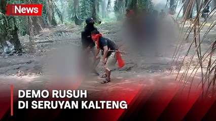 Bentrok Warga dan Polisi di Kebun Sawit Seruyan, Satu Warga Tewas Tertembak