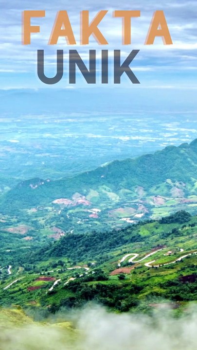 Fakta unik