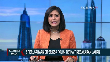 Polisi Periksa 6 Perusahaan Terkait Kebakaran Lahan di Palembang, Ancaman Denda Rp 7,5 M Menanti!