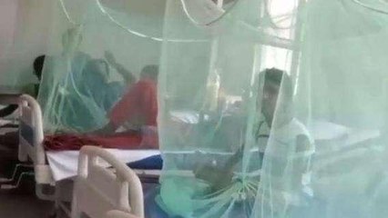 बरेली: जिले में 15 डेंगू व 16 मलेरिया के मिले नए मरीज, मचा हड़कंप