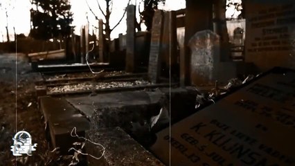 3 HISTORIAS DE TERROR VOL. 119 (Relatos De Horror)