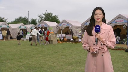 [날씨] '한로' 흐리고 선선...서울정원박람회 축제 한창 / YTN