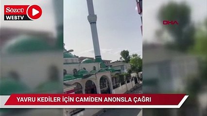 Yavru kedileri annesine kavuşturmak için camiden anonsla çağrı