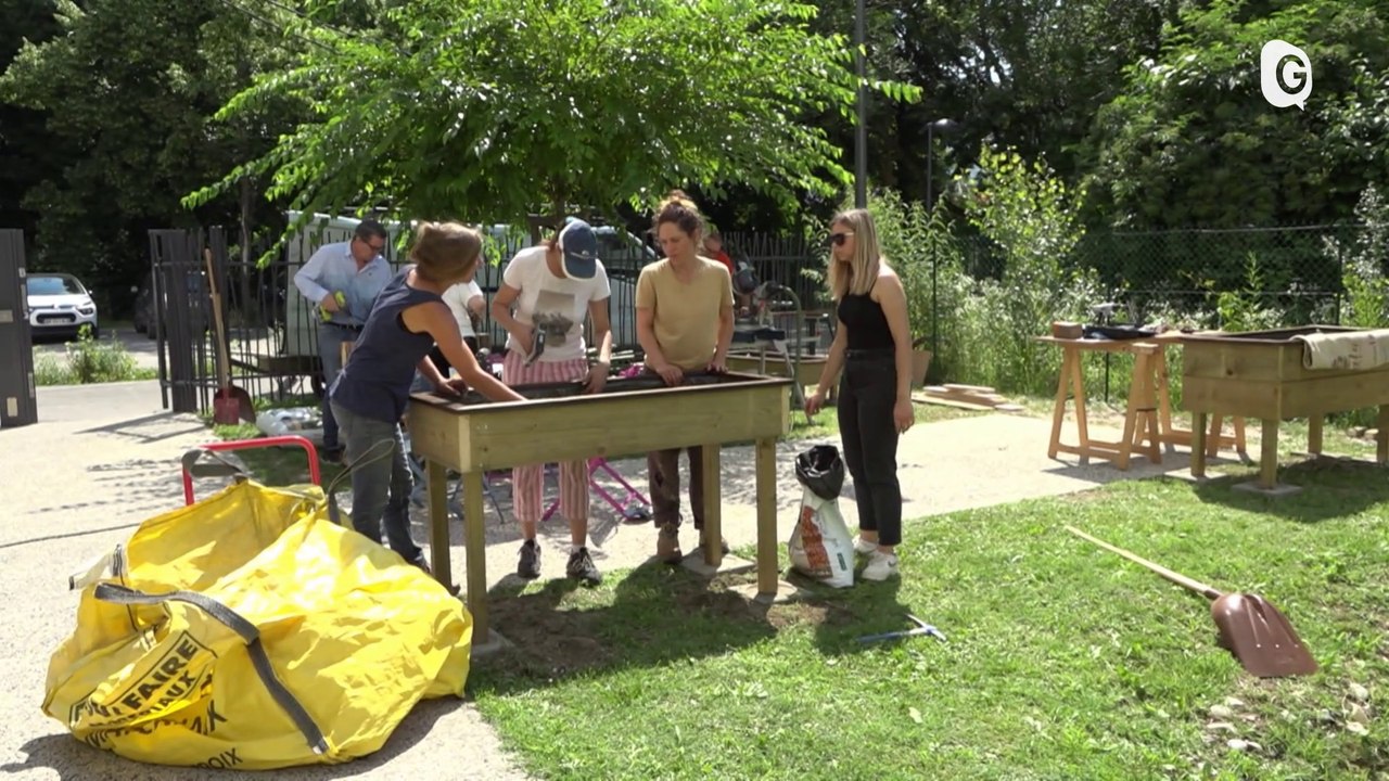 6' ENVIRONNEMENT - 08/10/23 - Mois de la nuit et jardin participatif
