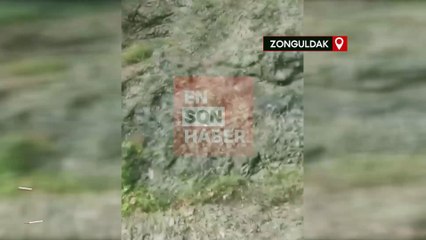 Zonguldak'ta köy muhtarı karşılaştığı ayıya gel oğlum diyerek seslendi