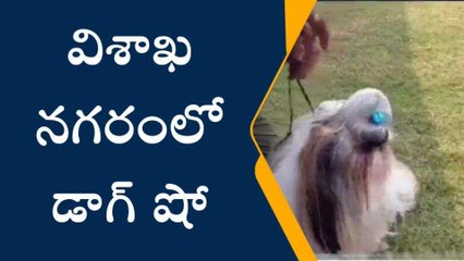 విశాఖ జిల్లా: వావ్ భలే ఉంది ఈ డాగ్ షో..!