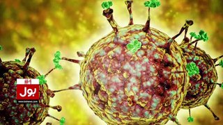 Saudi Health Ministry Big Warning - Nipah Virus Matter - Breaking News