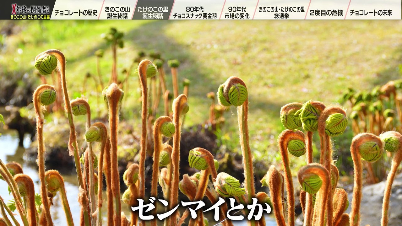 Ｘ年後の関係者たち あのムーブメントの舞台裏 10月2日(月)放送分 明治きのこの山・たけのこの里編