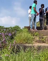 राजगड किल्ल्यावर पर्यटकांवर मधमाश्यांनी हल्ला केला. 30 ते 35 जणांना मधमाशा चावल्या