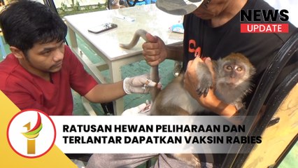 Ratusan Hewan Peliharaan Dan Terlantar Dapatkan Vaksin Rabies