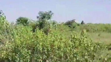 छिंदवाड़ा: डैम में डूबने से एक व्यक्ति की मौत, रेस्क्यू जारी