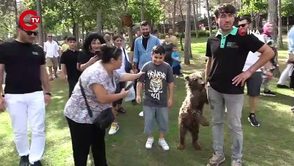 Çekmeköy’de yavru ayı Liva banyo yaptı, vatandaşlar ilgiyle izledi