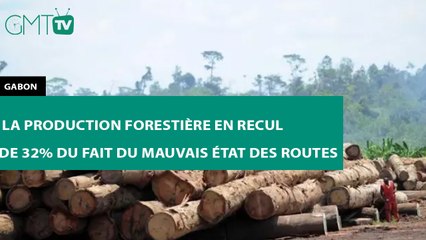 [#Reportage]  #Gabon : la production forestière en recul de 32% du fait du mauvais état des routes