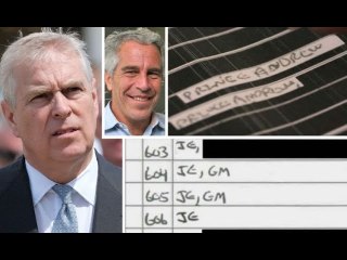 Prince Andrew name on Epstein's Lolita Express private jet logs ‘at least 3 times’