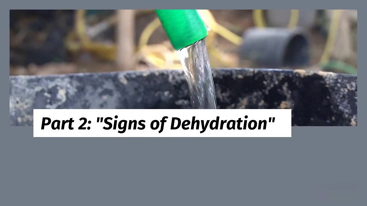 The Importance of Hydration: Drinking Enough Water for Your Health