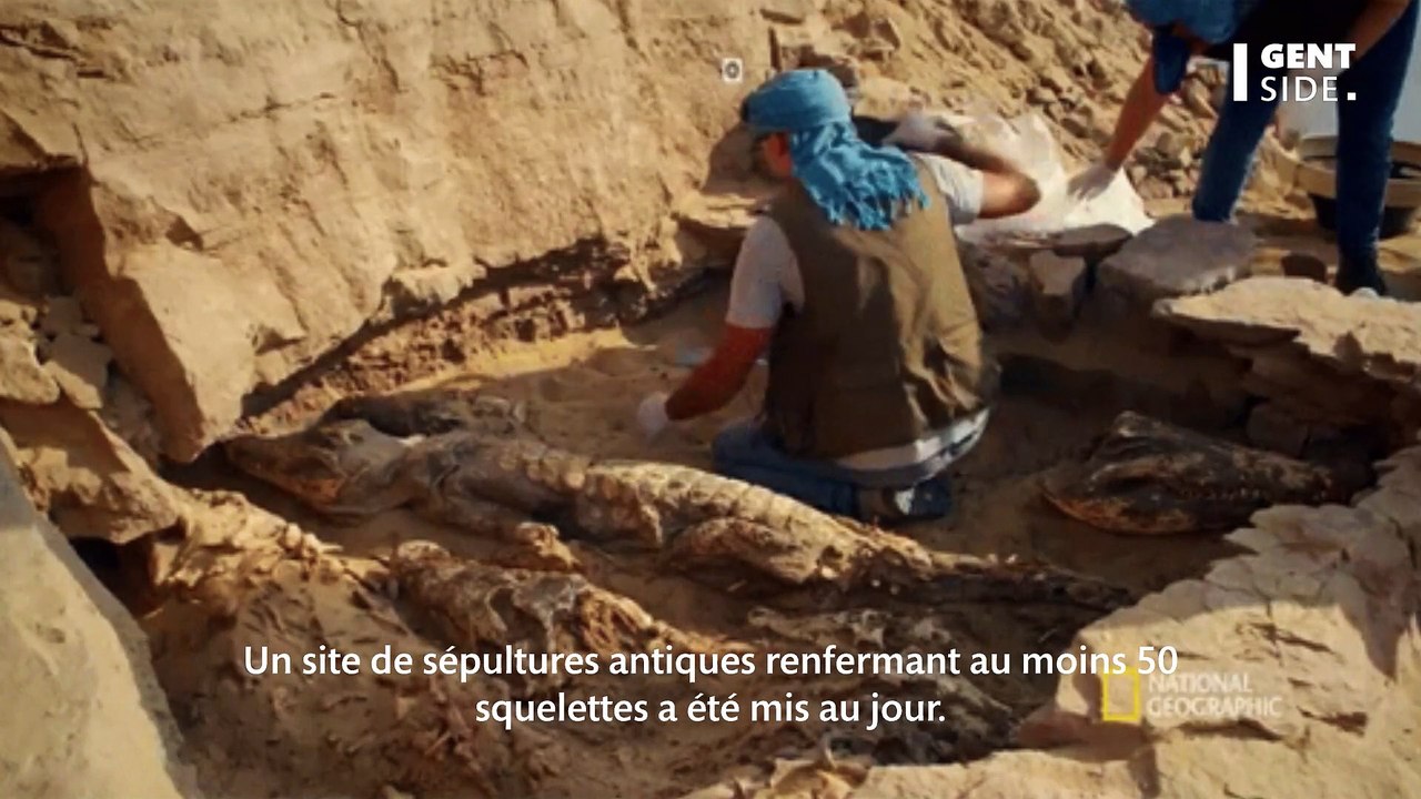 50 squelettes découverts dans une tombe en Israël