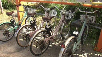 헛도는 제주 공공자전거...대당 100만 원 들여 또 구입 / YTN