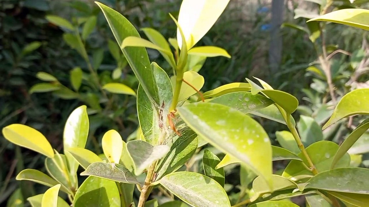 4K Relaxing Nature | Stunning View | Beautiful Nature | #nature #febspot