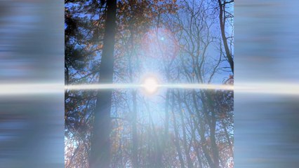 Keep You Warm - Shamanic Ape