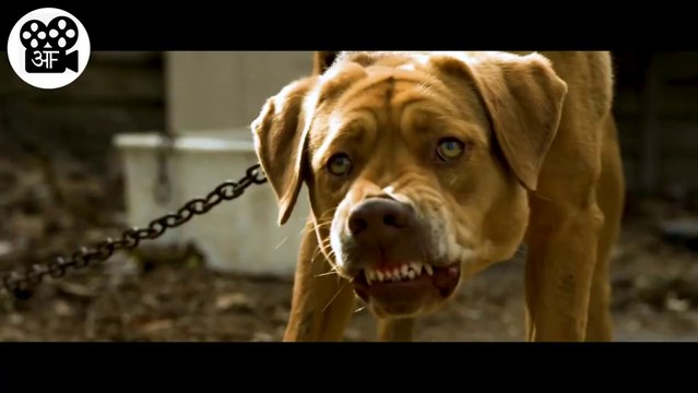 Dogs ne kia Poori CITY par Kabza _ Movie(Film) Explained in Hindi_Urdu _ Movie Story