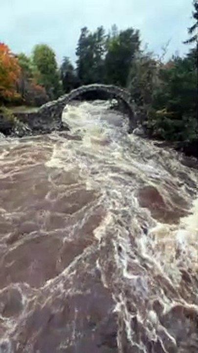 Carrbridge packhorse bridge