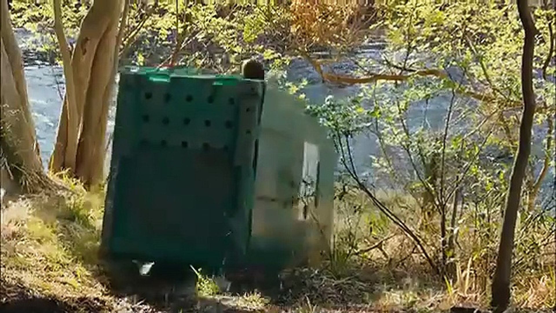 Dois Malucos Na Tv   - Filme Comédia Completo dublado